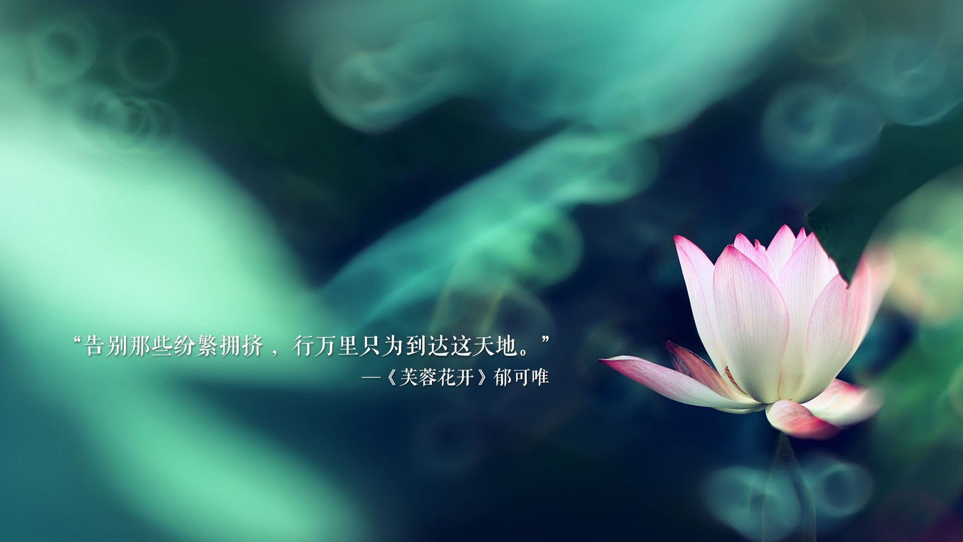 我们吃了海鲜英文（我们吃了美味的海鲜英语）