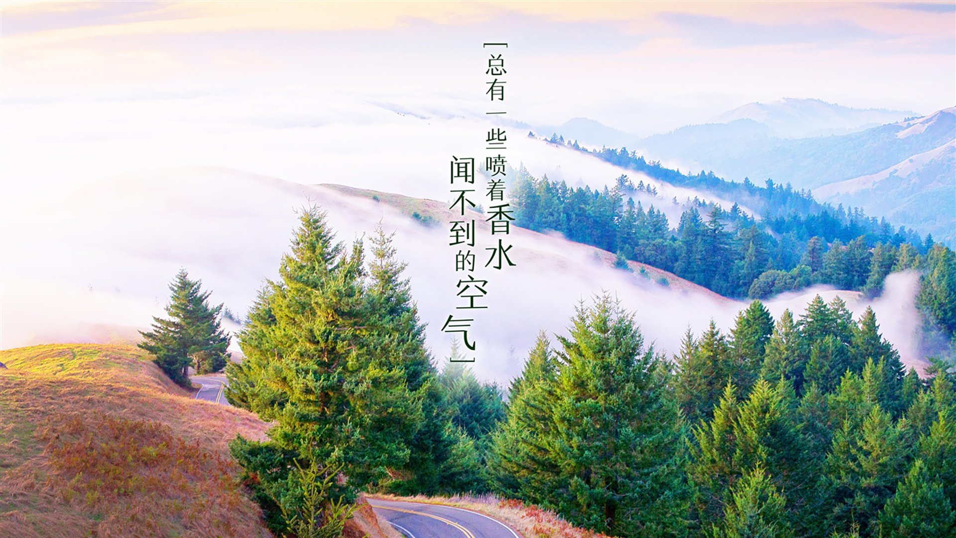 贝壳海鲜怎么做（贝壳海鲜做法）