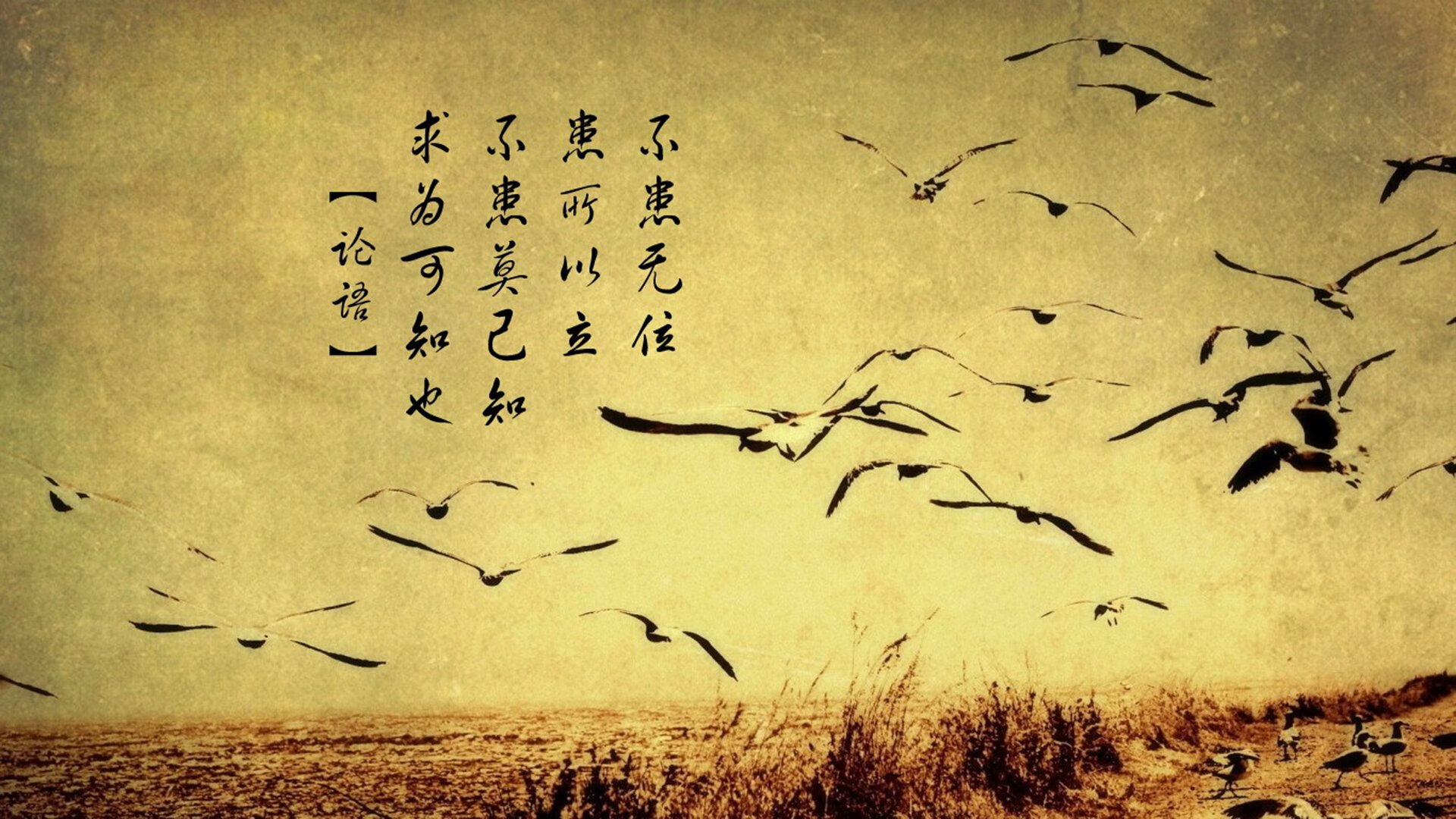都有哪些海产品可以吃(可以吃的海产品)