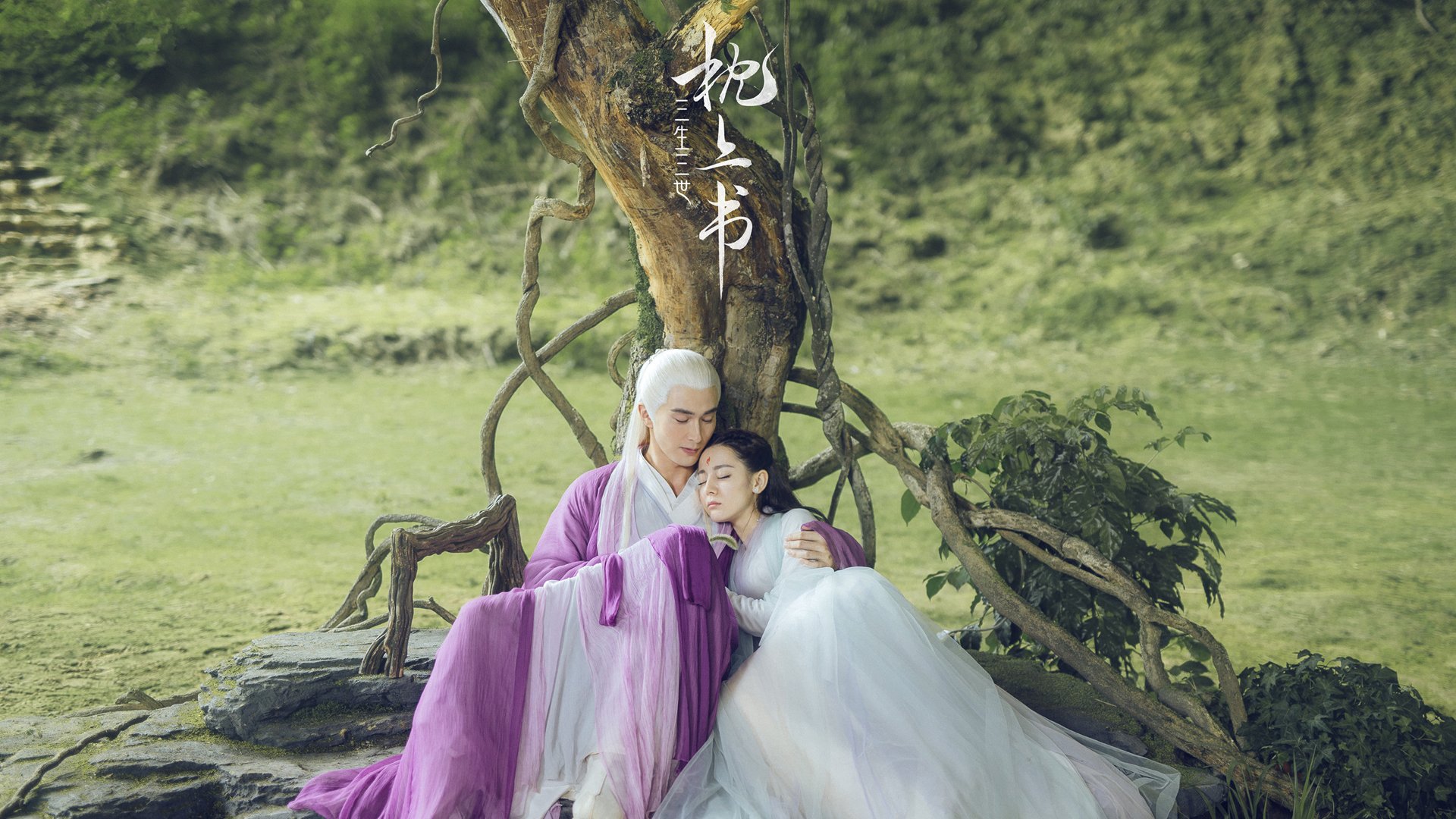 青岛海产品干货在哪买的（青岛海产干货哪个品牌好）